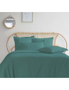 Housses de couettes 280X240 + 2 taies percale 80 Fils celadon