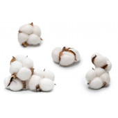 100% coton