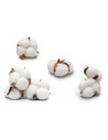 100% coton matière naturelle
