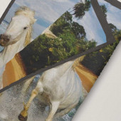 Zoom sur motif serviette chevaux plage