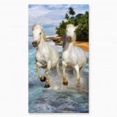 copy of COUPLE DE CHEVAUX