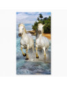 copy of COUPLE DE CHEVAUX