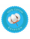 copy of COUPLE DE CHEVAUX