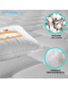 Oreiller Sensation Duvet 50x70