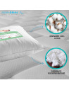 Composition Oreiller Hygiene Parfaite 45x70 en lot