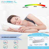 indice de fermeté traversin en plume 160 cm