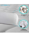 composition Traversin AEGIS Hygiène parfaite anti acariens 90 cm