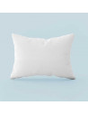 Oreiller Naturel 20% Duvet 50x70 cm