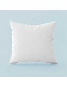 Oreiller Naturel 20% Duvet 65 x65 cm