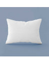 Oreiller Naturel 90% Duvet 50X70 CM
