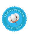copy of 