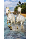 Serviette de plage microfibre chevaux sur la plage 70x140