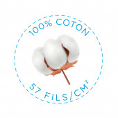 copy of 