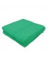 Lot de 2 Serviettes / draps de bain 50x100 cm Eponge 600 g/m²  100 % coton vert printemps