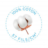 Picto 100 % 57 fils