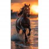 Serviette de plage Cheval Sunset fond blanc 100% coton 100x180 cm