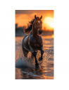 Serviette de plage Cheval Sunset fond blanc 100% coton 100x180 cm