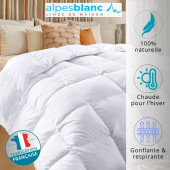Caractéristiques couette plumes 360g
