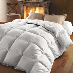 Couette plumes 360g