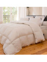 Couette Naturelle en Plume 140x200