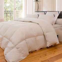 Couette 90% duvet 300g 240x220