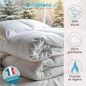 Caractéristiques de la Couette 90% duvet 300g 240x220