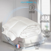 Infographie de la Couette 90% duvet 300g 240x220