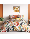 copy of Drap plat 240x310 BOURDON