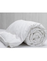 Couette Naturelle en Plume 200x200